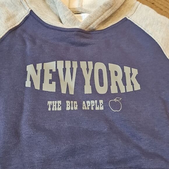 Market & Spruce Gray and Navy New York Big Apple Hoodie Size S NWT - Picture 2 of 9